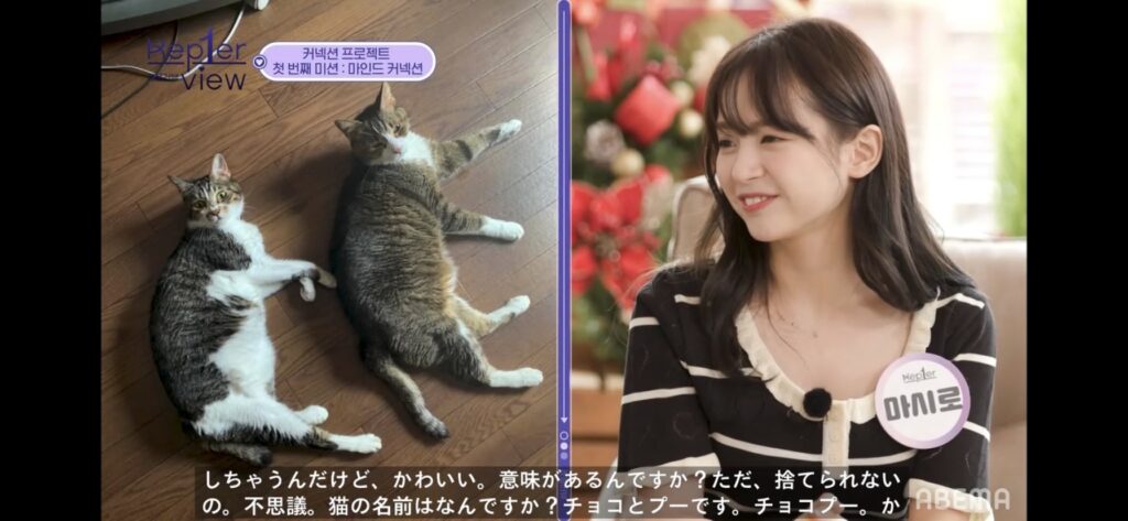 MADEINマシロ(坂本舞白)の家族構成|