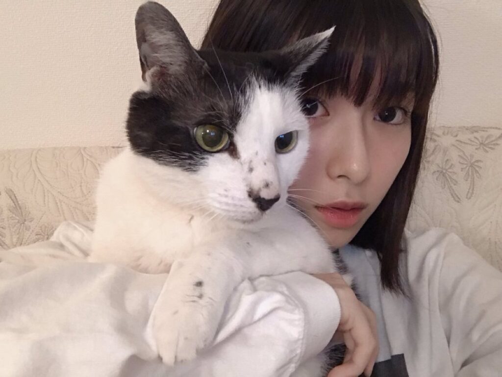 白石聖の家族構成|
